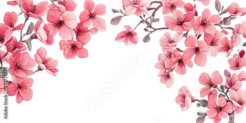 Wallpaper Mural Pink and Red Flowers on White Background, Elegant Floral Composition Torontodigital.ca