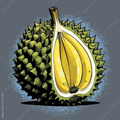 realistic durian fruit vector