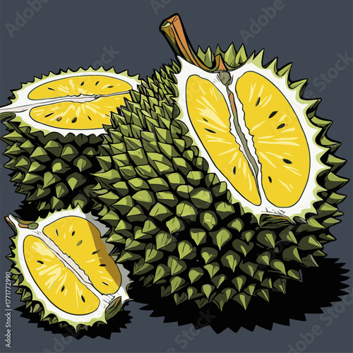 realistic durian fruit vector