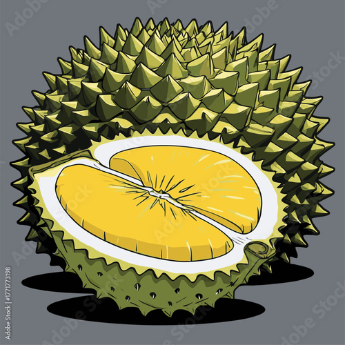 realistic durian fruit vector
