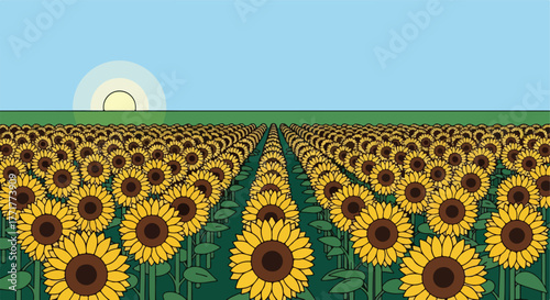 Vector illustration of a field of sunflowers under a blue sky, with the sun rising