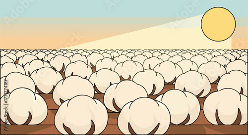Cotton Field Illustration