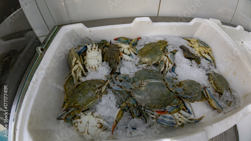 Fresh chilled crabs displayed on crushed ice at a seafood market.
