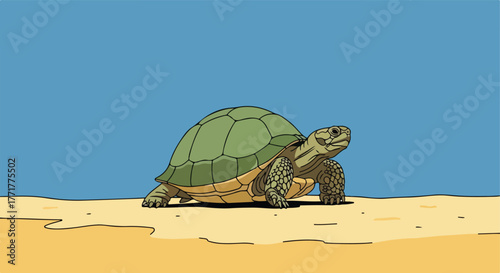 Turtle on sand