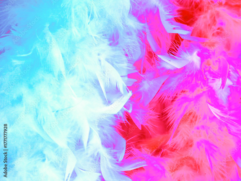 Fototapeta premium colorful feathers background
