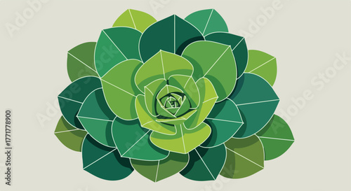 Stylized, layered illustration of a succulent plant in shades of green on a neutral background