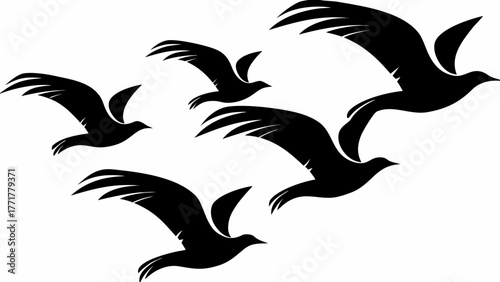 Elegant seabird silhouettes soaring high, perfect for nature designs and minimalist artwork applications