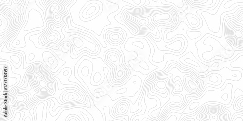 geographic grid vector isolate minimal topographic wave map lines. Ocean topographic line abstract sea map area space technology topo landscape map texture.	
