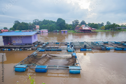 Natural river fish farming in Thai agriculture