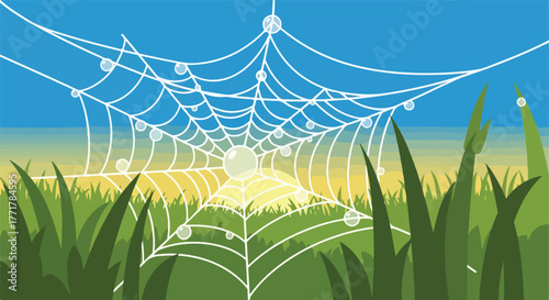 Web in grass