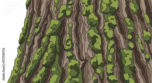 Illustration of a tree trunk with green lichen
