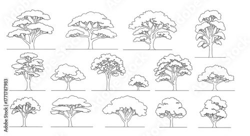 Architectural Tree Line Art Set – Landscape Vector, Elevation, Section, Plan Illustration