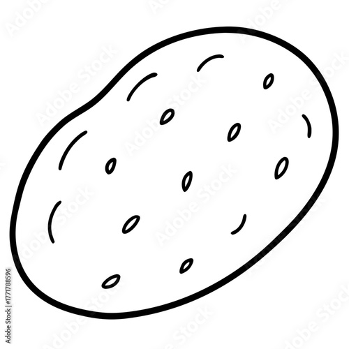 Fresh Potato Vector Illustration