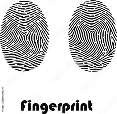 Black two fingerprint patterns on transparent background identity. Fingerprint, identity, unique, biometric, identification, security.