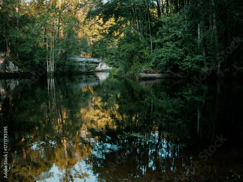 Quadro su tela North Carolina Beautiful Scenes Lumber River, Carvers Creek State Park, Cape Fea