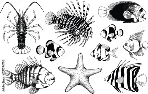 Marine life collection with lobster lionfish starfish and various fish clownfish angelfish.