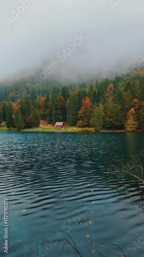 lake in autumn