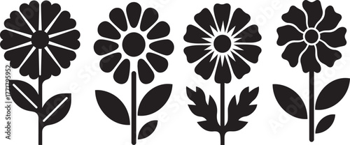 A marigold of black and white flowers and leaves for vector illustration and design elements