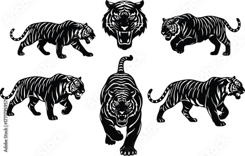 Tiger Silhouettes in Motion: 6 Bold Poses with Fierce Expression