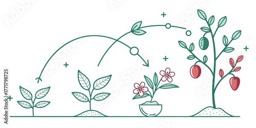 Vector illustration depicting the life cycle of a plant from seedling to fruit bearing tree stage growth