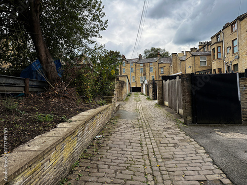 A Victorian cobblestone path meanders between weathered stone homes, dappled with shade from towering trees that lend the scene a hushed tranquility in Manningham, Bradford, UK
