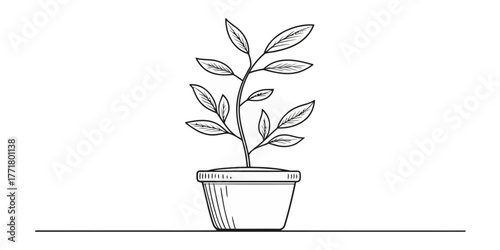 Vector illustration of a potted plant with leaves and a simple pot on a flat surface in black and white style