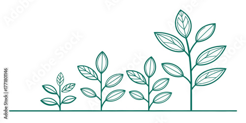 Vector illustration showing the growth of four plants from small to large with green outlines on white background