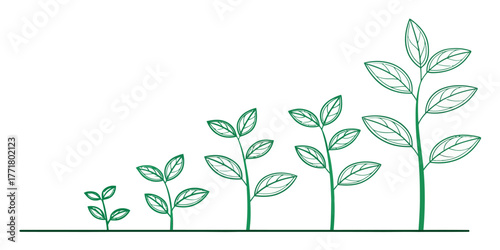 Vector progression of plant growth depicted with increasing size and leaf count on a white background image