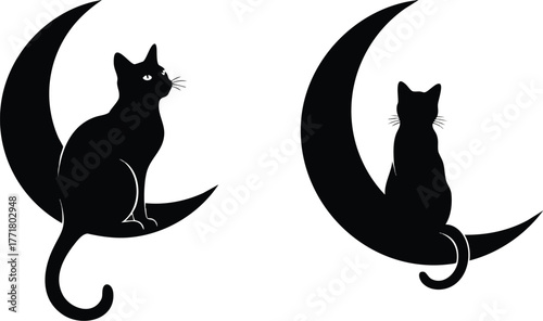Mysterious black cats perched elegantly on crescent moons, evoking a sense of wonder and nighttime magic.