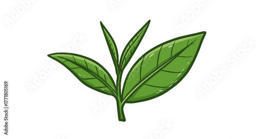 Green tea leaves clipart simple cartoon style with fresh herbal design