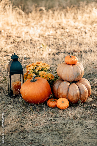 halloween arrive 