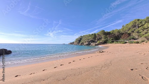 Mediterranean sandy beach with crystal blue sea, pine forest and rocky coast.