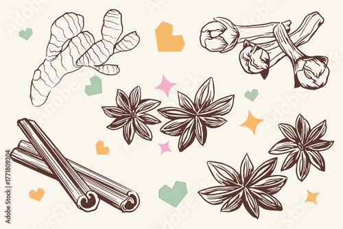 Spices vector set – ginger, cinnamon, star anise, clove, hearts and stars