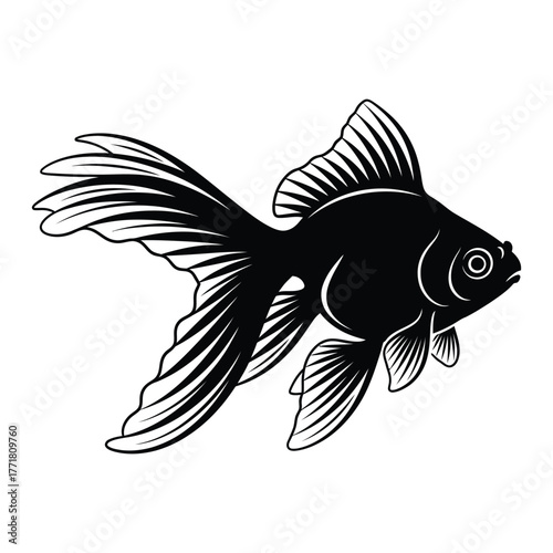 Refined goldfish silhouette with long graceful fins and smooth flowing contours in clean black vector design on white background showing elegance