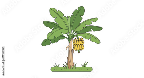 Whimsical Banana Tree Illustration with Cartoon Style and Tropical Vibe