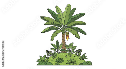 Isolated tropical island scene with banana tree and varied lush plants