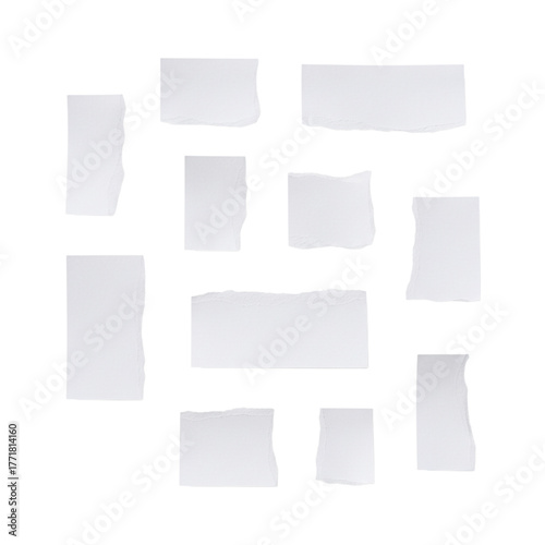 Wallpaper Mural Collection of diverse white paper scraps with torn edges, perfect for creative design projects, scrapbooking, or adding a distressed texture to digital compositions. Torontodigital.ca
