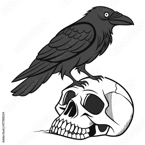 A black raven perched atop a human skull, creating a gothic and macabre scene