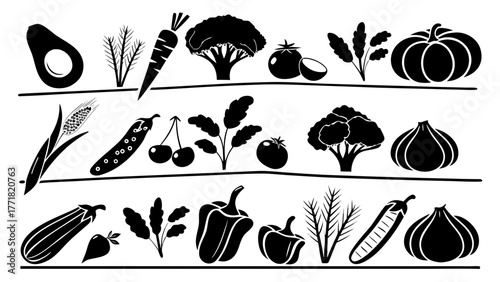 Vegetables fresh produce assortment healthy eating ingredient collection