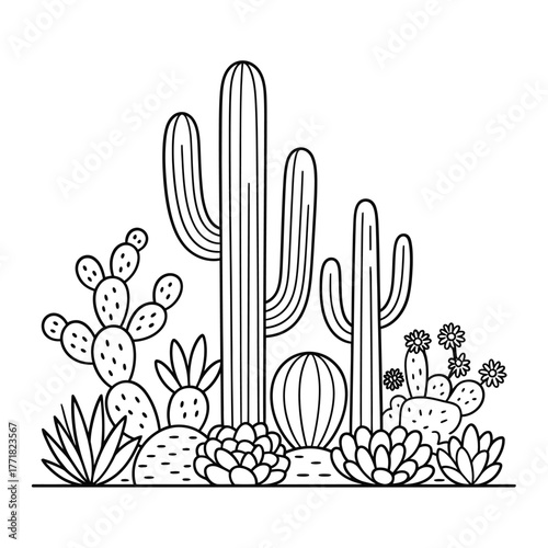Collection of various desert cacti and succulents in a simple line art style