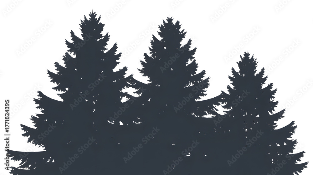 Obraz premium Dark silhouette of pine trees against a black sky isolated on transparent background