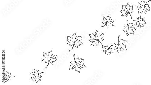 Black and white botanical illustration of a tree branch with leaves for floral design or nature pattern