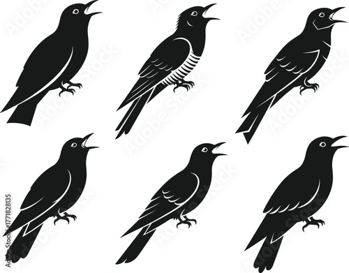 Black bird silhouettes in singing pose, artistic avian illustration, feather pattern variations, wildlife comparison, nature design, educational ornithology reference