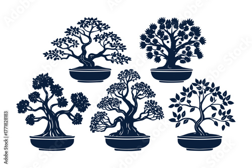Bonsai Collection in Pots: Intricate bonsai trees, meticulously cultivated and shaped, sit gracefully in their ceramic pots, a testament to the art of miniature landscaping and cultivation.