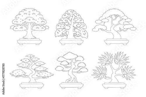 Bonsai Trees Line Art: Elegant line art captures the artistry of six meticulously crafted bonsai trees, each a testament to the patient practice of cultivating miniature natural forms.
