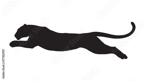 Majestic lion vector illustration. silhouette of a black panther