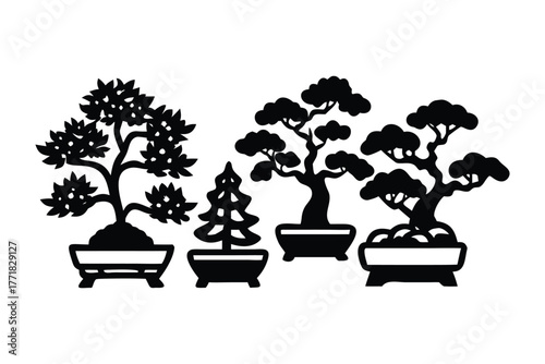 Serene Bonsai Collection: A meticulously curated collection of bonsai trees in elegant planters, embodying the art of nature's miniaturization and the harmony of nature.