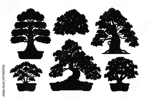 Bonsai Silhouette Collection: A captivating collection of meticulously crafted bonsai trees, each silhouetted against a plain backdrop, showcasing the unique form, texture, and artistic elegance.