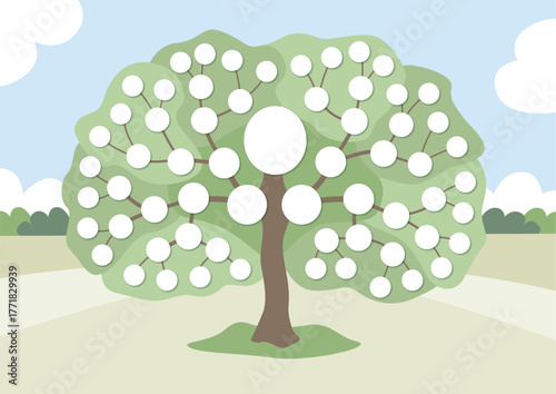ARBRE GENEALOGIQUE 6 GENERATIONS MODIFIABLE