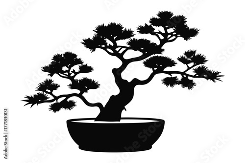 Bonsai Tranquility: A silhouette of a meticulously crafted bonsai tree, nestled in its elegant pot. showcasing the patience and artistry of this ancient practice.